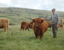 Michael Poland, Owner of the Mottistone Fold of Highland Cattle